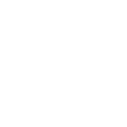 InDesign
