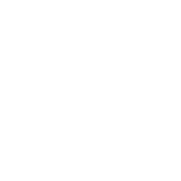 Illustrator